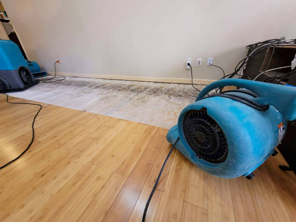 Professional Water Damage Repair technician working in Pitsburg, OH
